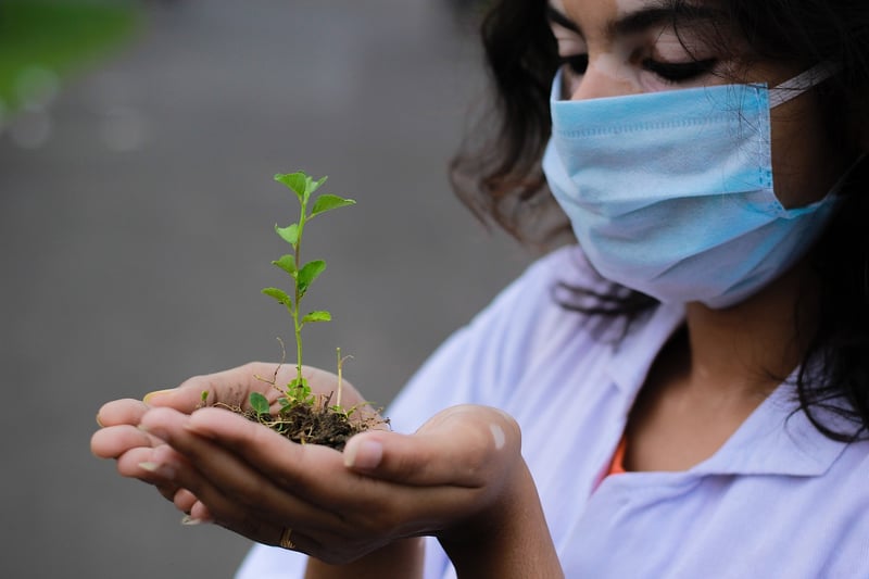 Plant Pot with Seeds